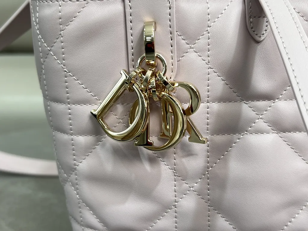 Dior Bag 